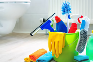 Messie Reinigung Speyer